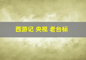 西游记 央视 老台标